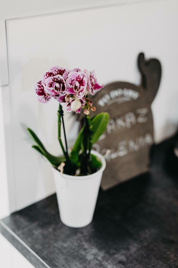 Apartament Rynek Pniewy Pniewy  ภายนอก รูปภาพ